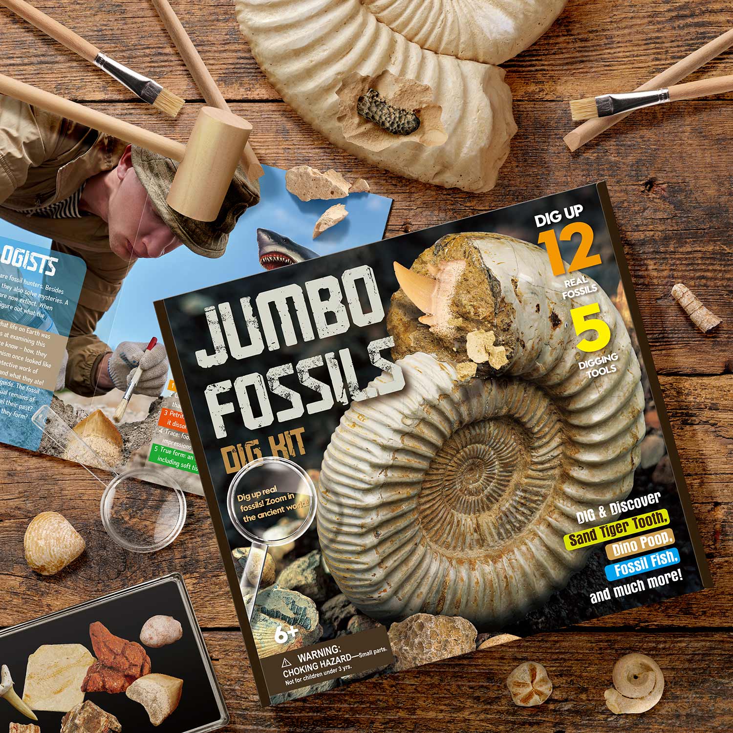 Jumbo Fossils STEM Dig Kit - Fossils, Dinosaur Poo, Shark Teeth EDUMAN.