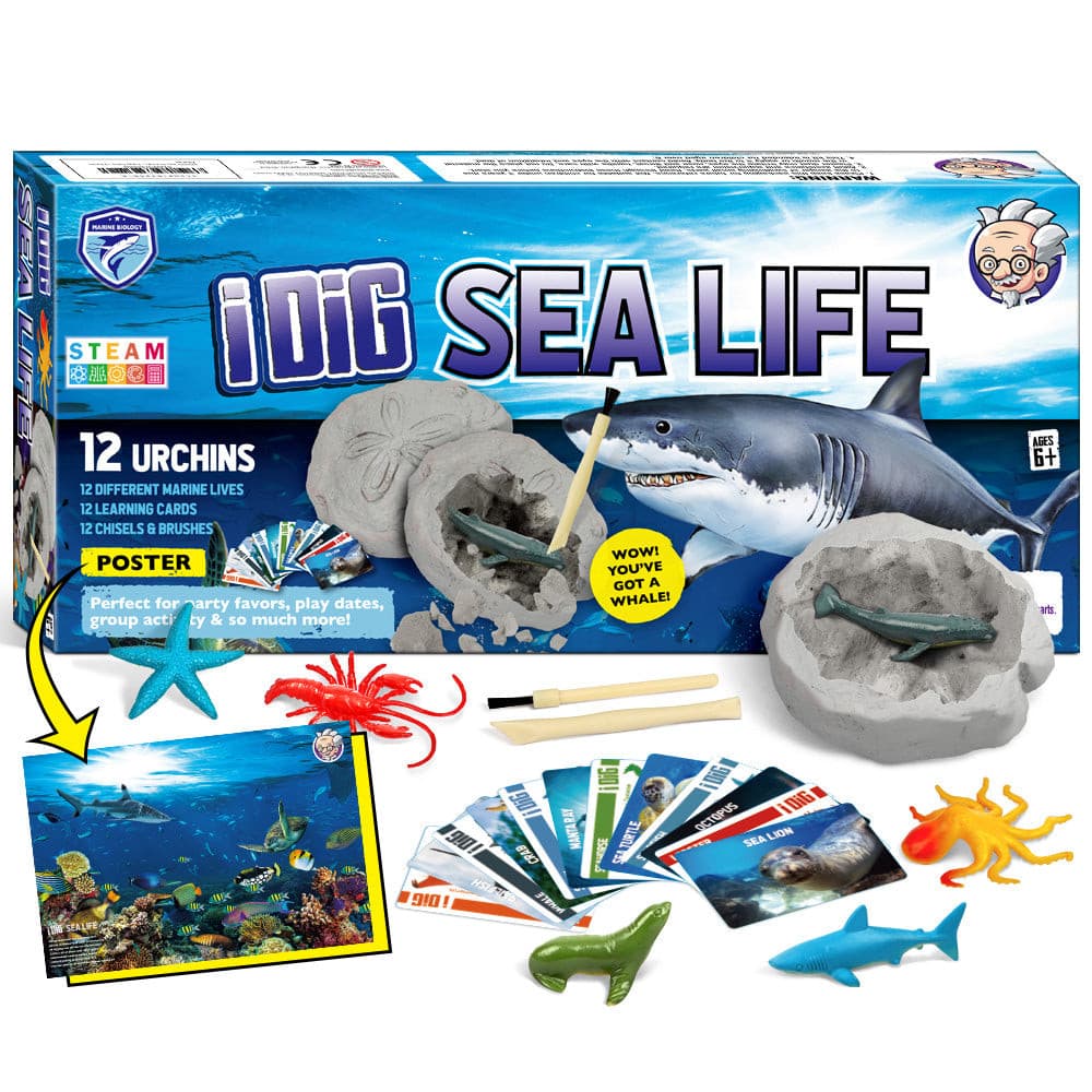 Sea Animals Ocean Life STEM Excavation Kit For Kids EDUMAN.