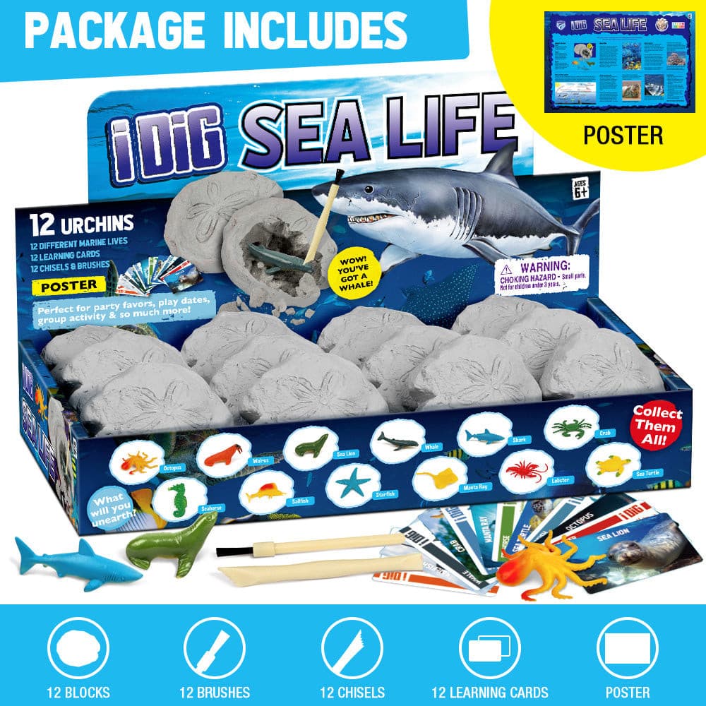 Sea Animals Ocean Life STEM Excavation Kit For Kids EDUMAN.