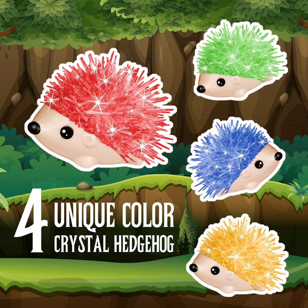4  Crystal Hedgehog to Grow - Eduman