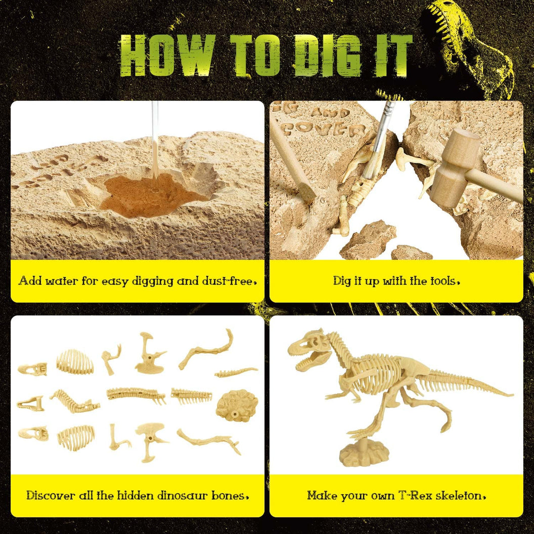 Dino Skeleton STEM Dig Kit for Kids EDUMAN.